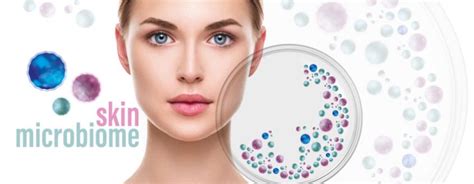 Microbioma cutaneo cosè e come averne cura Mybeautycoach