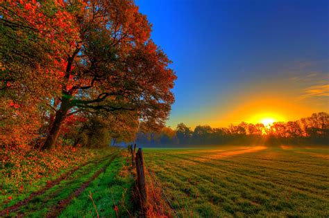 Amazing Fall Wallpapers Top Free Amazing Fall Backgrounds