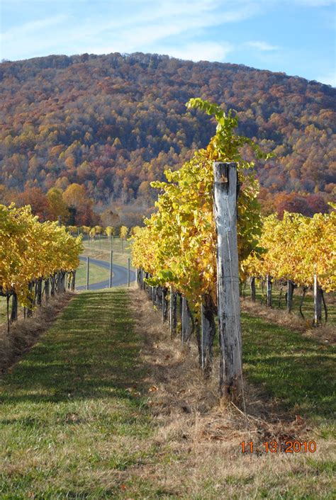 Virginia wine trails virginia is for lovers – Artofit