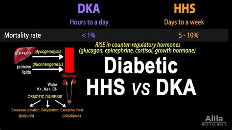 Hyperosmolar Hyperglycemic State Diabetic Hhs Vs Dka Animation Youtube