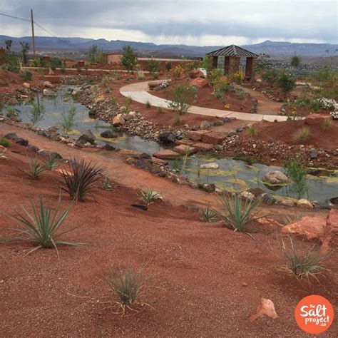 The Red Hills Desert Garden St George The Salt Project Things To