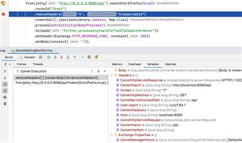 Visualisation And Debugging Of Apache Camel Routes Consol Labs