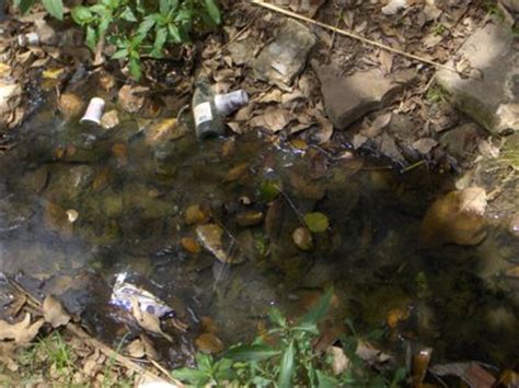 Los Ambientalistas: EL AGUA CONTAMINADA, ¡¡UN CAMINO A LA DESTRUCCIÓN ...