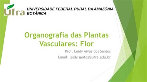 Pdf Organografia Do Flor Dokumen Tips