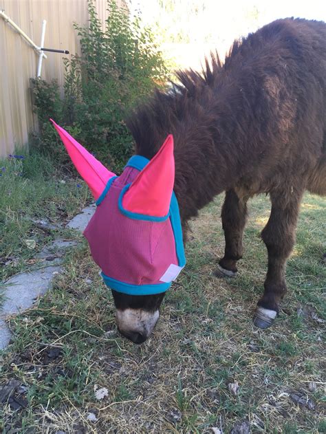 Fly Mask W Ears Improved Design Horses Donkeys And Mules Etsy