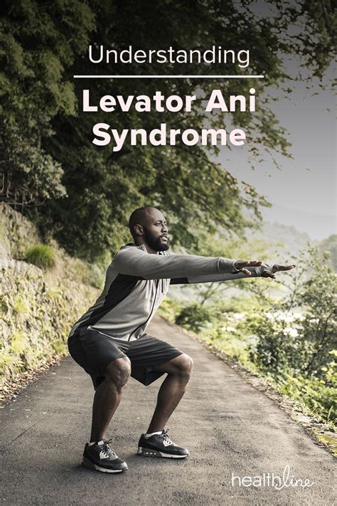 Levator ani syndrome symptoms causes and treatment – Artofit