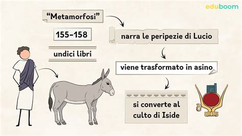 Le Metamorfosi O L Asino D Oro Latino Quinta Superiore