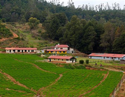 Best Kodaikanal Tour Tourism Packages Poppins Holidays