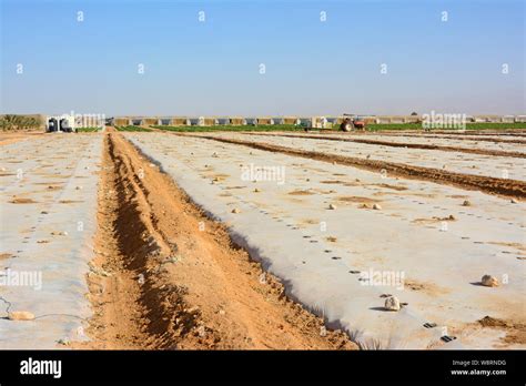 Israel agriculture technology hi-res stock photography and images - Alamy