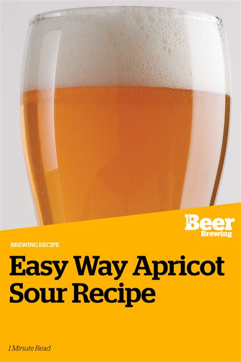 Easy Way Apricot Sour Recipe | Craft Beer & Brewing