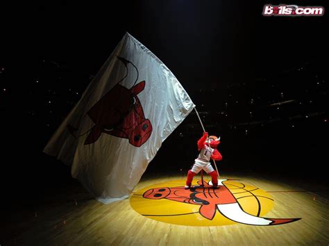 Chicago Bulls 3D Wallpapers - Wallpaper Cave