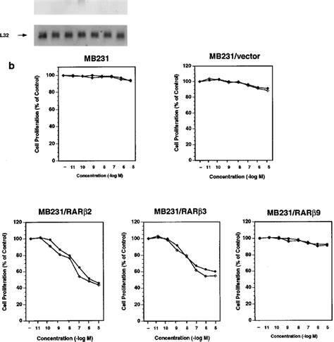 Stable Expression Of Rar Genes Restores All Trans Ra Sensitivity In