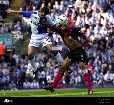 Steve Yarnell Sport Football Steve Marlet Lucas Neill Hi Res Stock