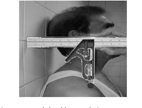 Figure From The Effects Of Scapular Stabilization Based Exercise