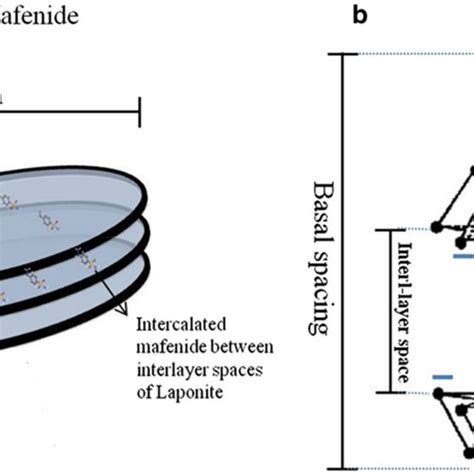 A Schematic View Of Nanosize Laponite Discs And Inter Layer Space