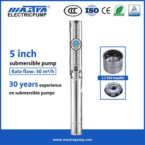 Mastra Inch All Stainless Steel Grundfos Deep Well Submersible Pump