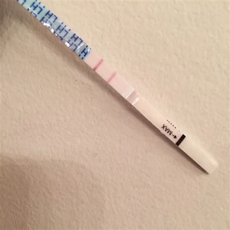 Top 90 Pictures What Does A Positive Ovulation Test Strip Look Like