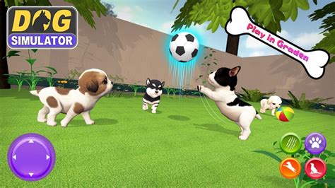 My virtual dog simulator by Muhammad Nasir