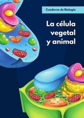 Plantillas Biolog A Gratis Y Editables Canva