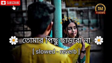 Tomar Pichu Charbo Na তমর পছ ছডব ন Slowed Reverb Lofi