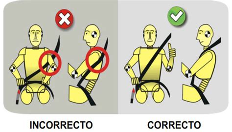 Nitro pe Estás usando correctamente el cinturón de seguridad