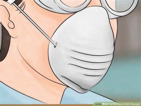 How to Kill Mold With Vinegar: 14 Steps (with Pictures) - wikiHow