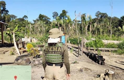 Pol Cia Civil Cumpre Mandados Para Combater Crimes Contra Fauna No