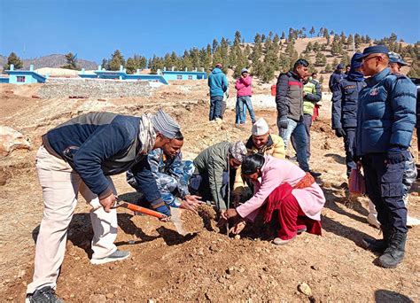 प्रजातन्त्र दिवससको अवसरमा एक सय ५० स्याउका बिरुवा रोपियो