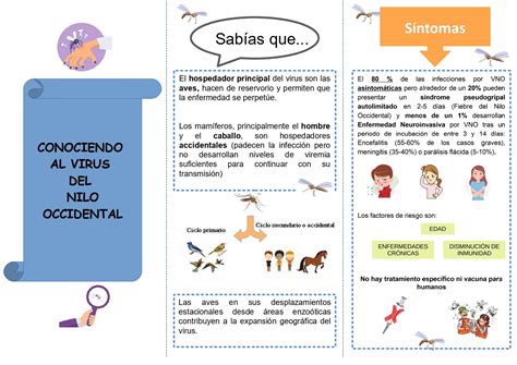 Informaci N Sobre El Virus Del Nilo Occidental