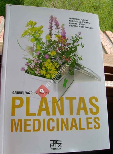 Taller De Plantas Medicinales Ceánuri