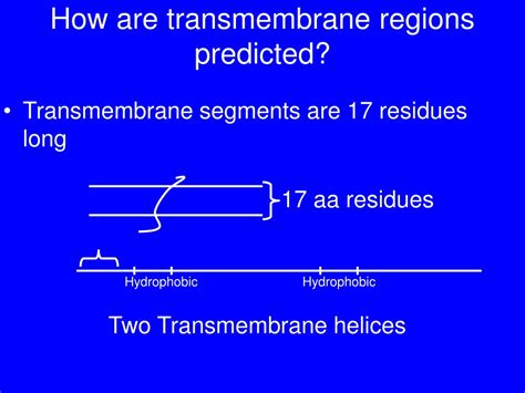 Ppt Predicting Protein Properties And Structure Powerpoint