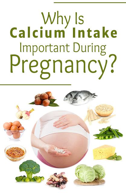 Calcium During Pregnancy - Calcium Rich Foods For Pregnancy - Test Blog