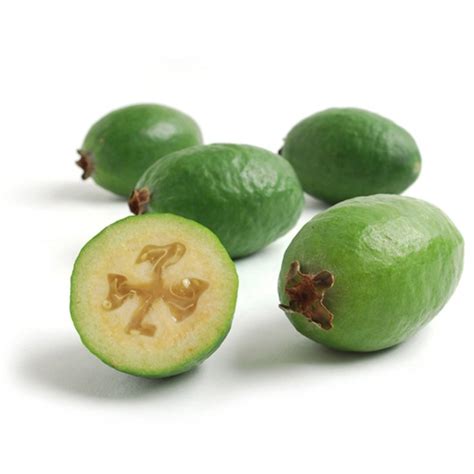 Feijoa Pineapple Guava Seeds Acca Sellowiana Price €1 90