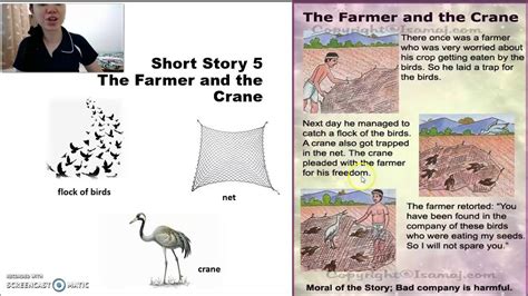 Short Story 5 The Farmer And The Crane Youtube