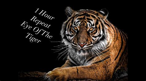 Eye Of The Tiger 1 Hour Repeat Youtube