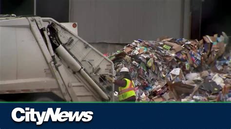 Calgary Recycling Facility Dealing With Rats Youtube