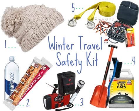 Winter Travel Safety Kit For Humans And Their Pets Habits Of A Modern