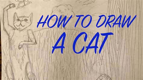 How To Draw A Cat Youtube