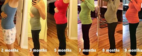Barriga De Gravidez 2 Meses - NAZAEDU
