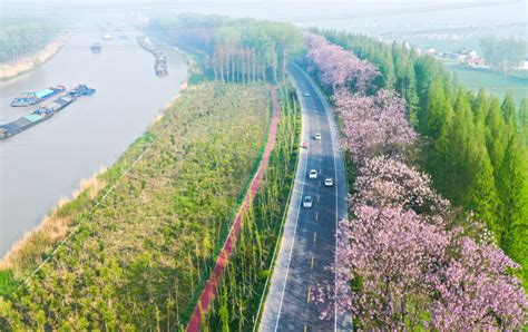 江苏宝应：“清、补、建”修复生态 运河两岸重现好风光