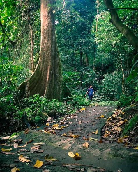 Pengen Healing Inilah Wisata Indonesia Yang Terdaftar Unesco