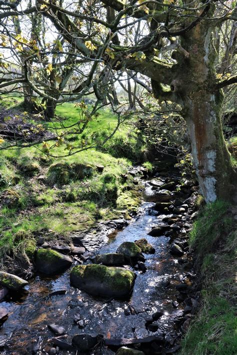 Royds Clough And Ughill Brook Martin Elliss Flickr