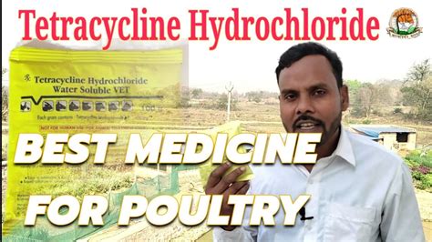 Tetracycline Hydrochloride Best For Poultry Youtube