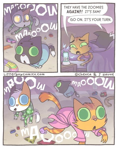 Zoomies | Cat comics, Cute comics, Comics