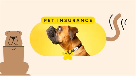 Pets Best Pet Insurance Review 2023 Ultimate Guide - REETHINC