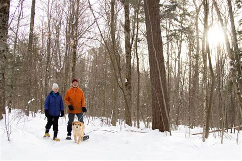 Hfyo Feb2021 183 Haliburton Forest And Wild Life Reserve Ltd