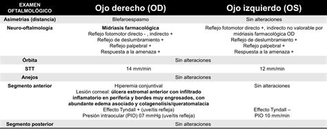 Lcera Colagenasa Caso Cl Nico Servicio De Oftalmolog A Veterinarios