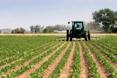 significado agricultura que es definición alimentos concepto