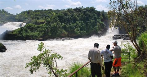 Uganda Murchison Falls National Park T Gige Safari Tour Getyourguide