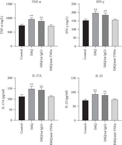 The Serum Levels Of Ifn γ Il 17a Tnf α And Il 23 Were Examined Download Scientific Diagram